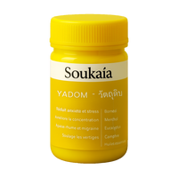 Yadom Énergie – Vitalité & Focus